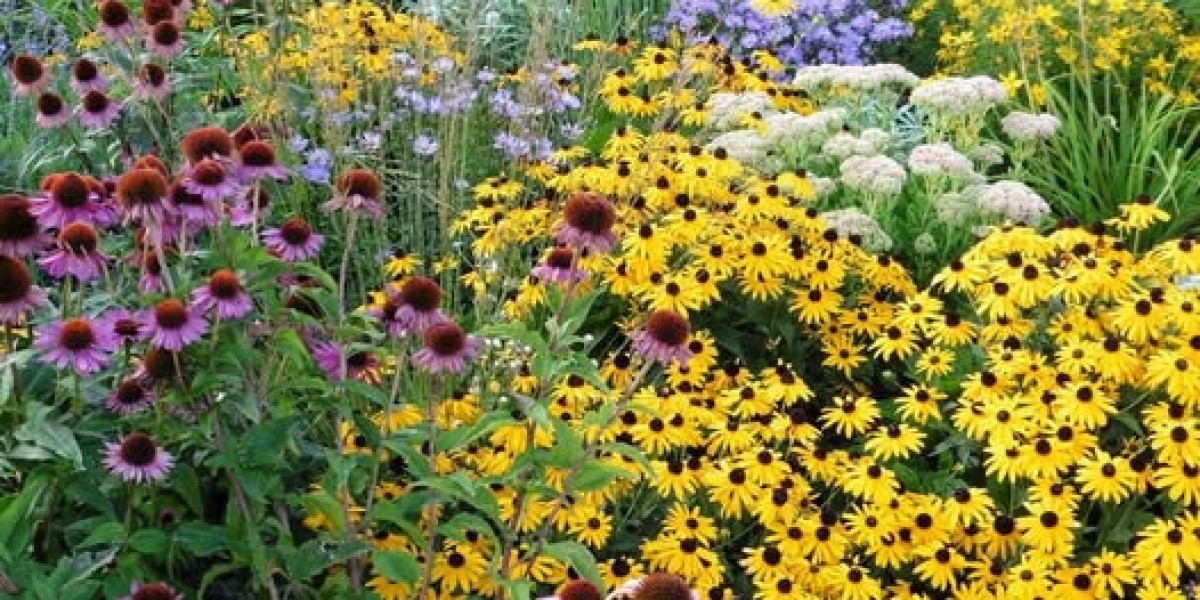 Islanders Include Elite Defenseman within just Matthew Schaefer with To start with Over-all Number