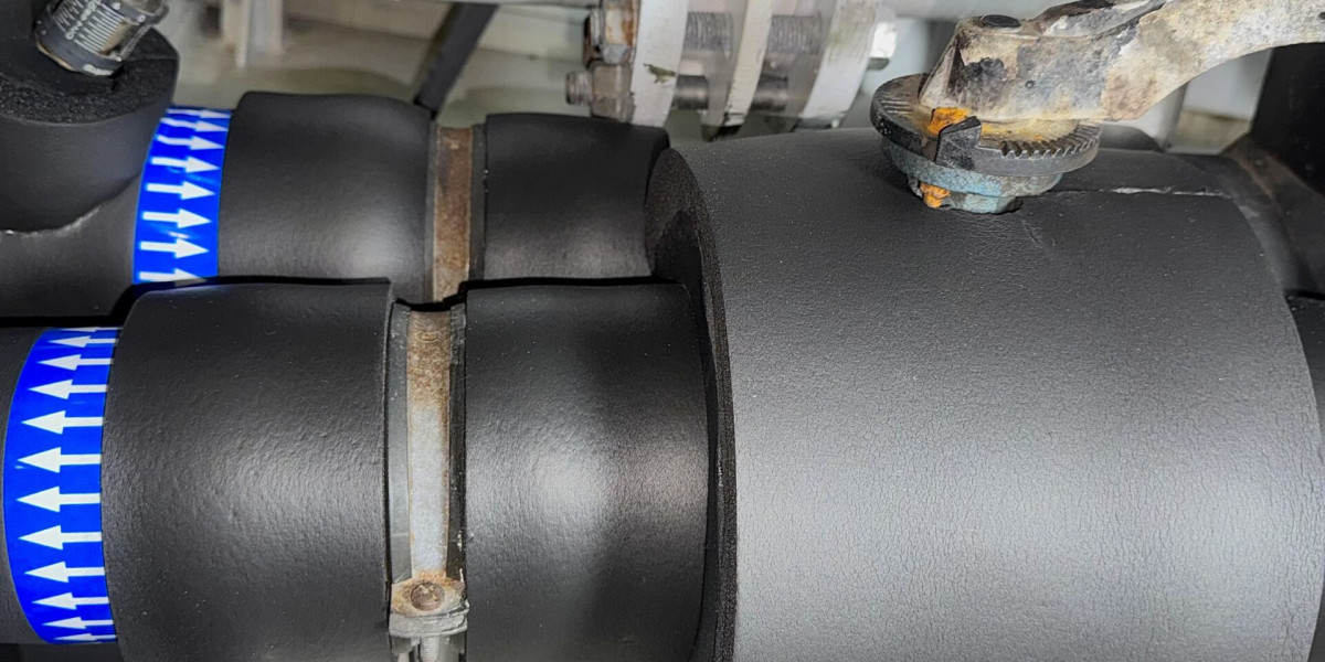 Introduction The Impact of Marine Noise Pollution