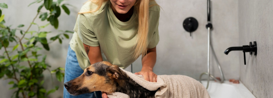 thegroomer Cover Image