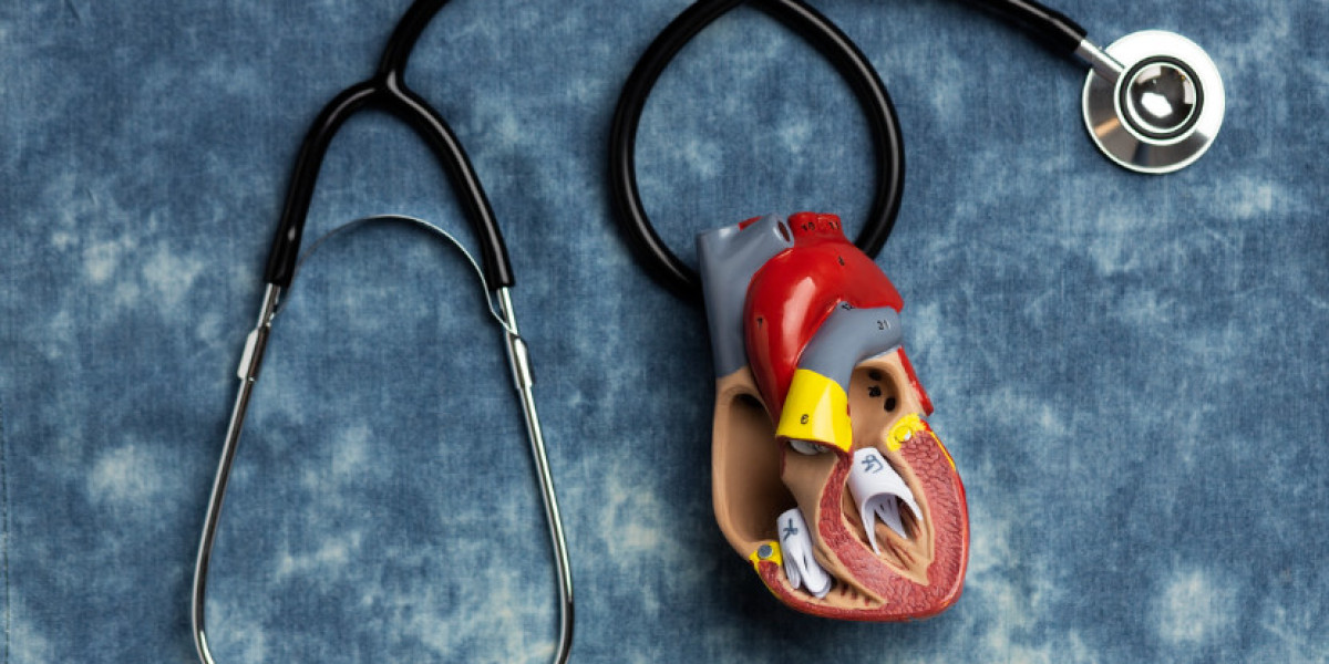 North America Heart Valve Devices Market Size 2035
