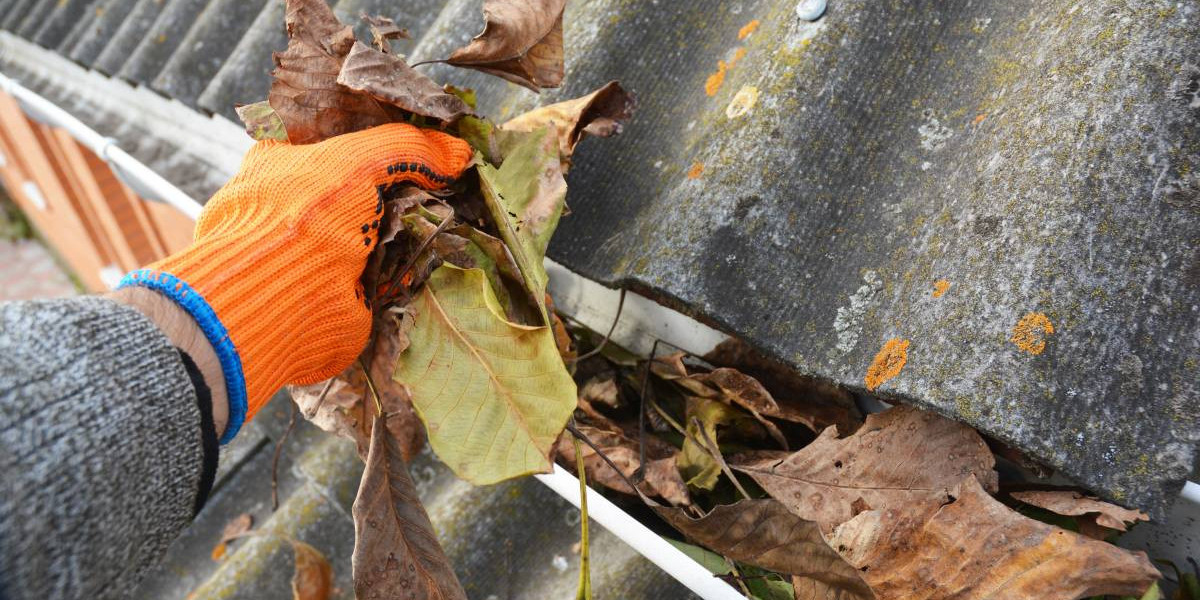 Leaf Gutter Cleaning in Tulsa, OK: Why It’s Essential for Your Home