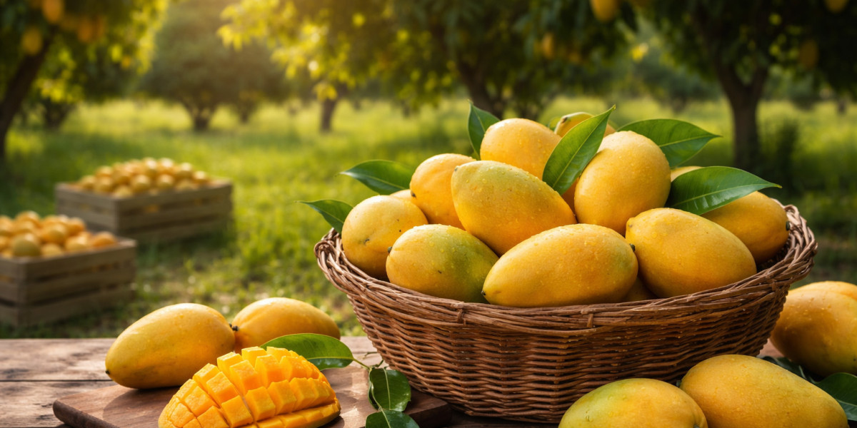 What Determines Pakistani Mango Price in Pakistan Each Season?