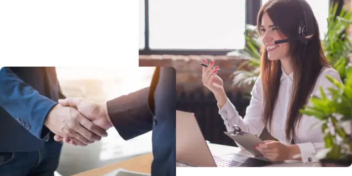 Monthly vs Annual Pest Control in Dubai: Which Is Better?