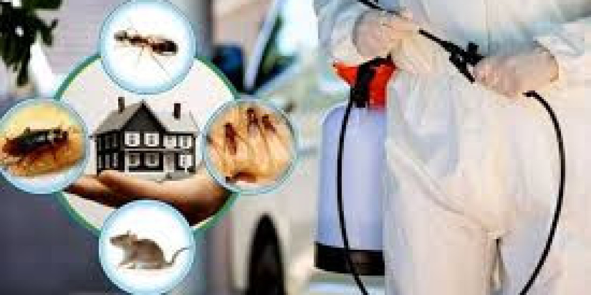 Professional Termite Control Services in Lahore Protecting Homes Buildings Effectively