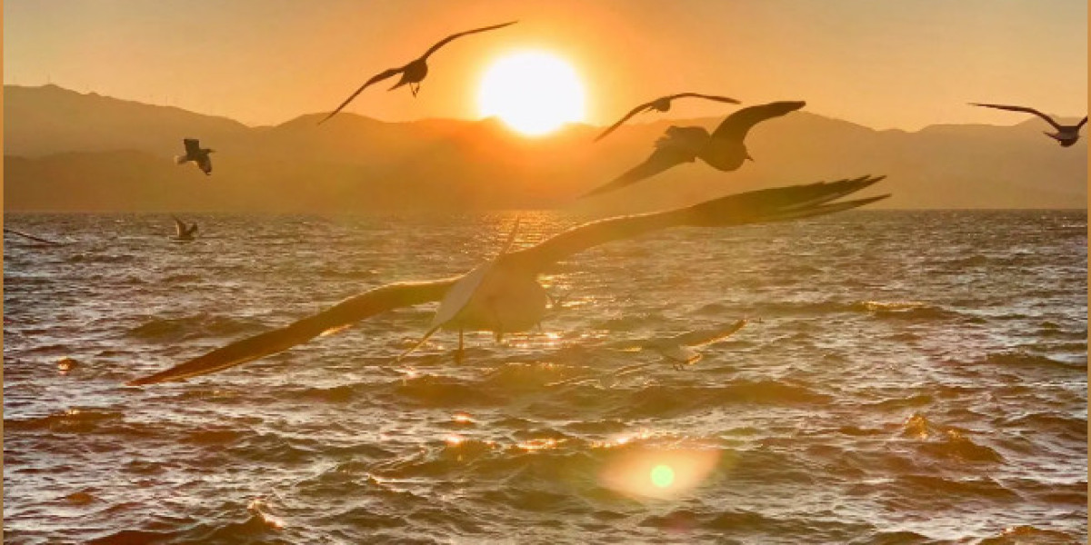 u4gm What Today s Fallout 76 Update Means for Fast XP Farming