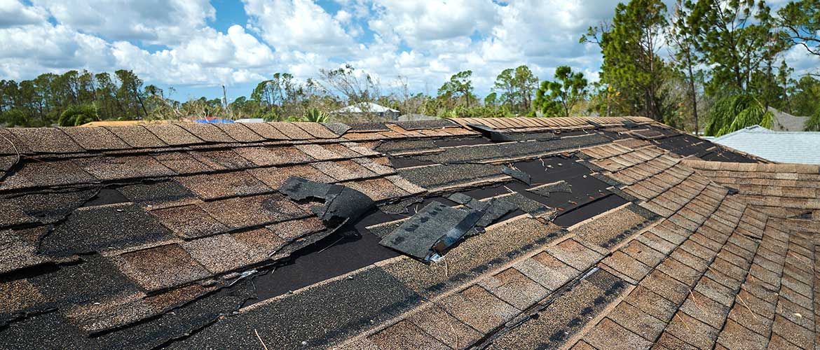 How to Choose the Best Shingle Roofing Repair Wellesley Services for Your Home | Feeding Trends