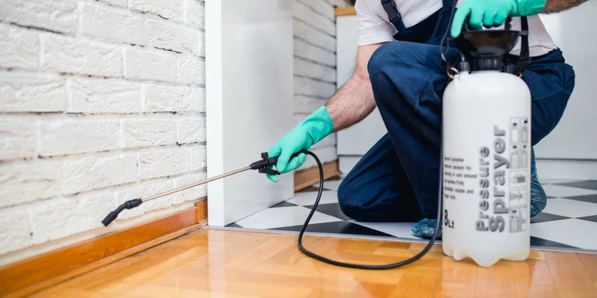 Effective Pest Control Solutions in Islamabad: Protect Your Home and Business