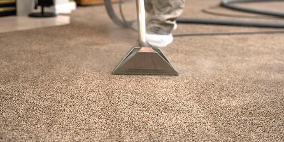 Transform Your Property’s Appeal with Expert Carpet Care