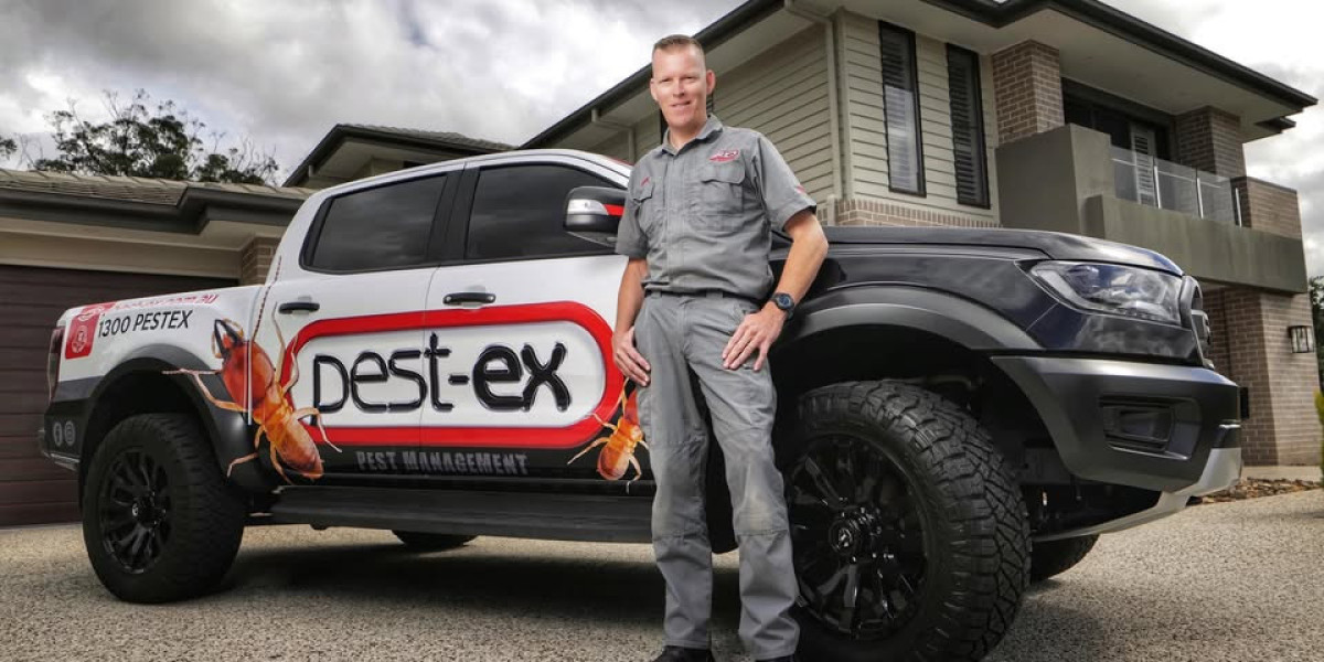 When Pests Appear, Gold Coast Experts Step In